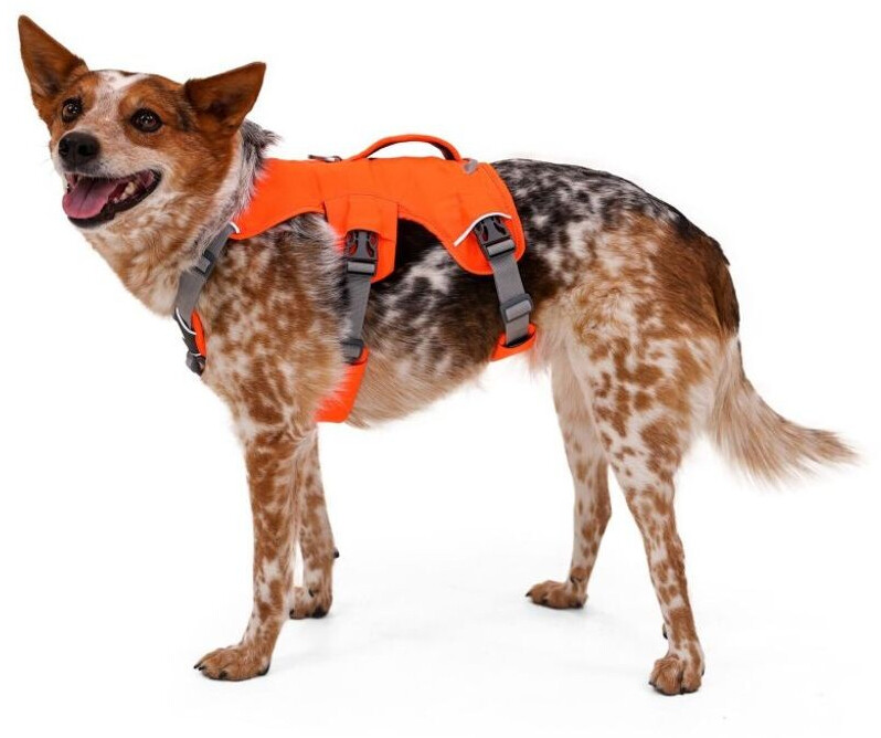 Ruffwear Harnais pour chien Web Master XS Ruffwear Harnais pour chien Web Master XS