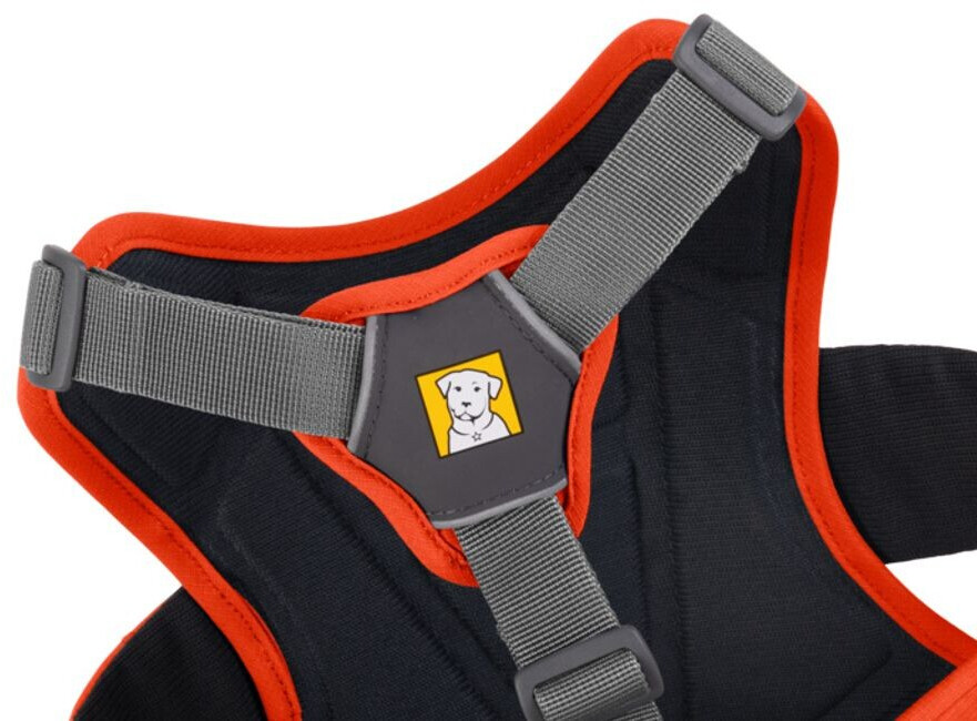 Ruffwear Harnais pour chien Web Master XS Ruffwear Harnais pour chien Web Master XS