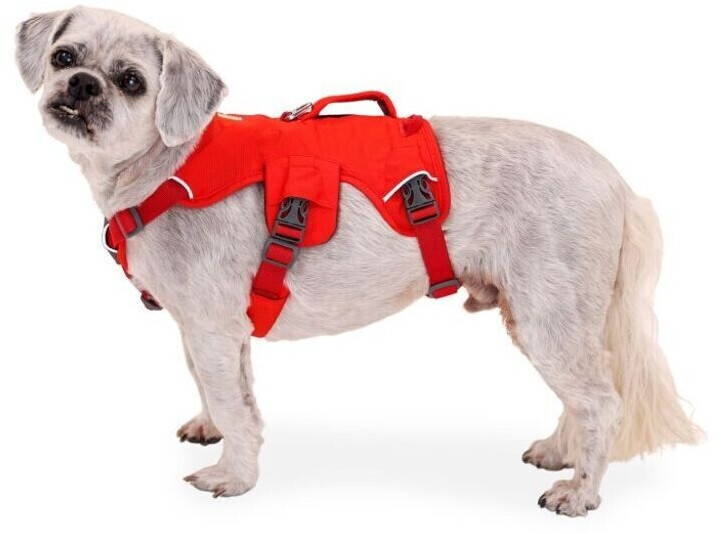 Ruffwear Harnais pour chien Web Master XS Ruffwear Harnais pour chien Web Master XS