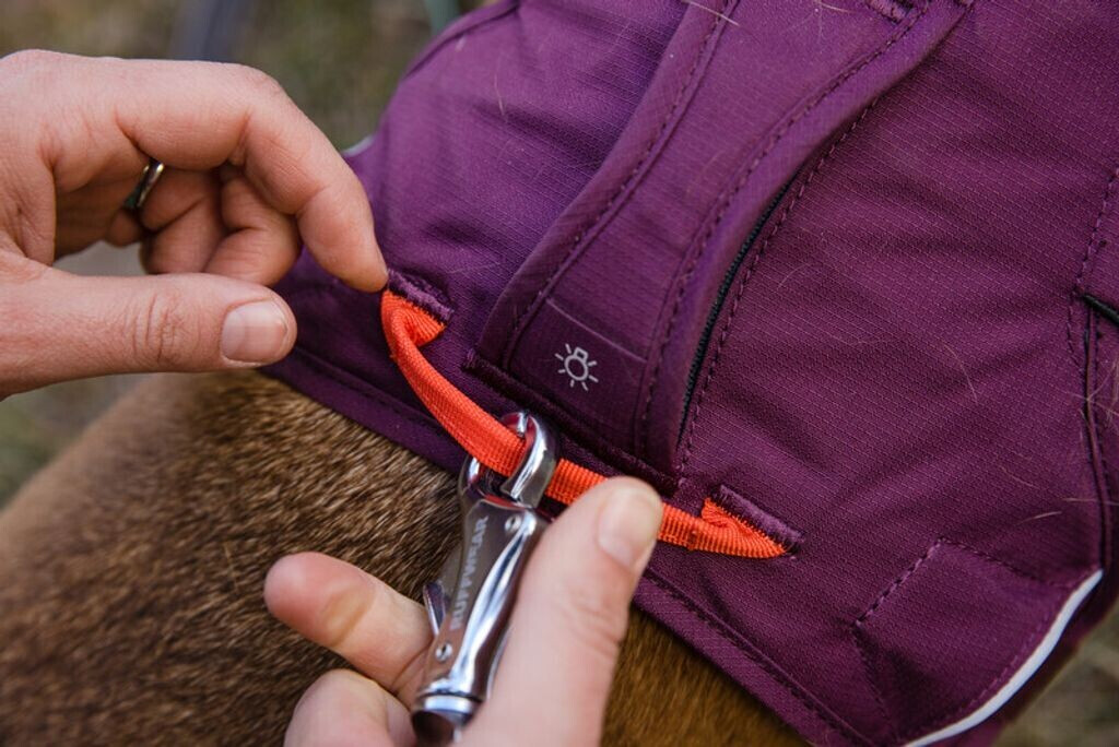 Ruffwear Harnais pour chien Web Master XXS