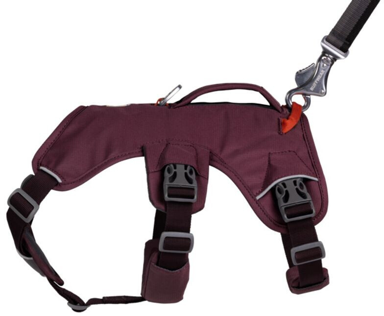 Ruffwear Harnais pour chien Web Master XXS
