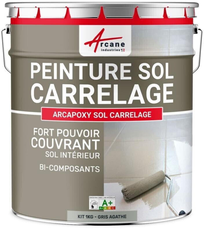 Arcane Industries Peinture sol carrelage 1 kg gris agathe RAL 7038