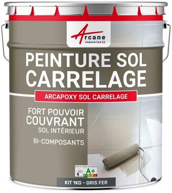 Arcane Industries Peinture sol carrelage 1 kg gris fer RAL 7011
