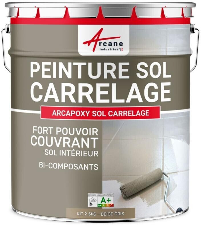 Arcane Industries Peinture sol carrelage 1 kg beige gris RAL 1019