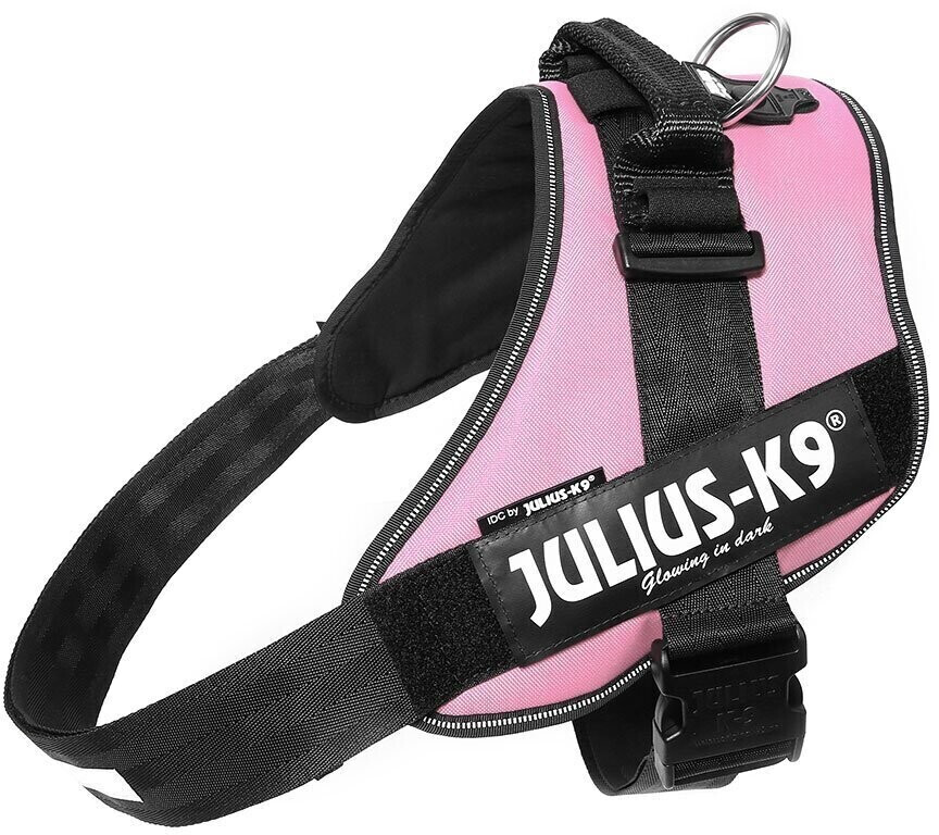Julius K-9 150408