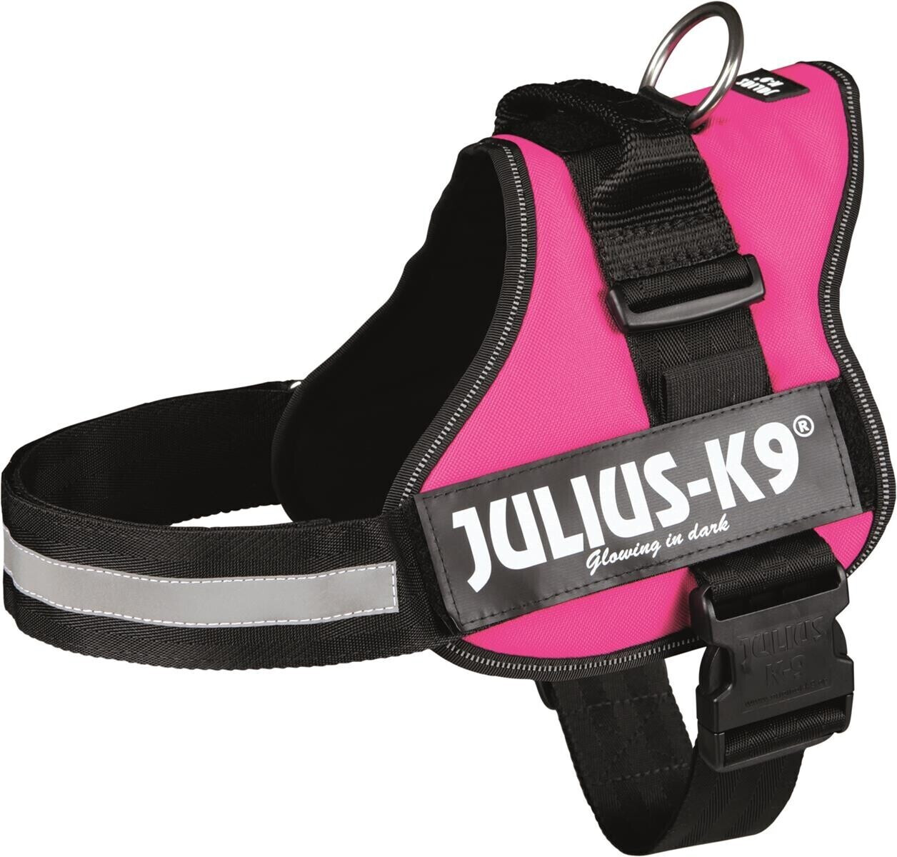 Julius K-9 150508