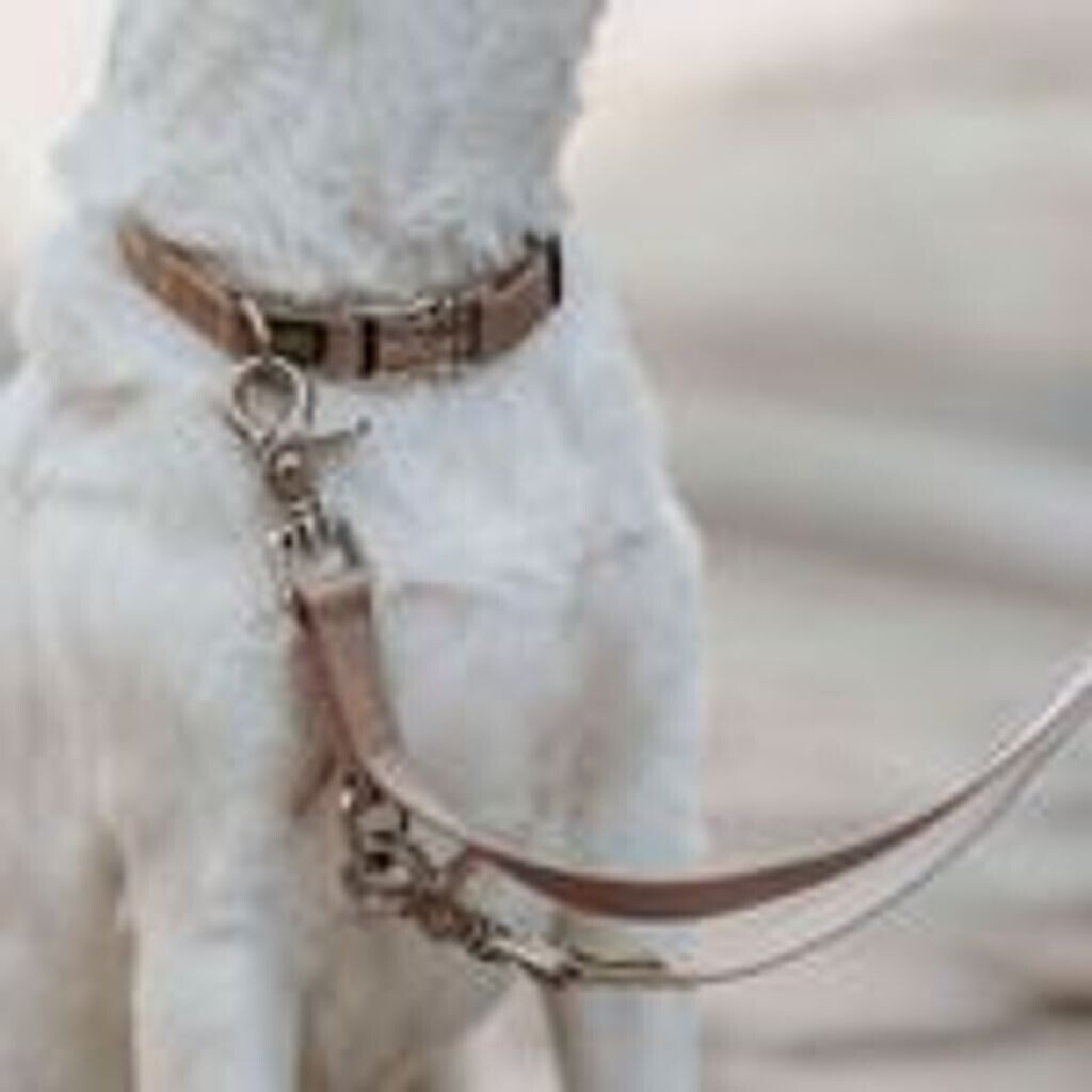 HUNTER Laisse classique pour chien 69698 HUNTER Laisse classique pour chien 69698