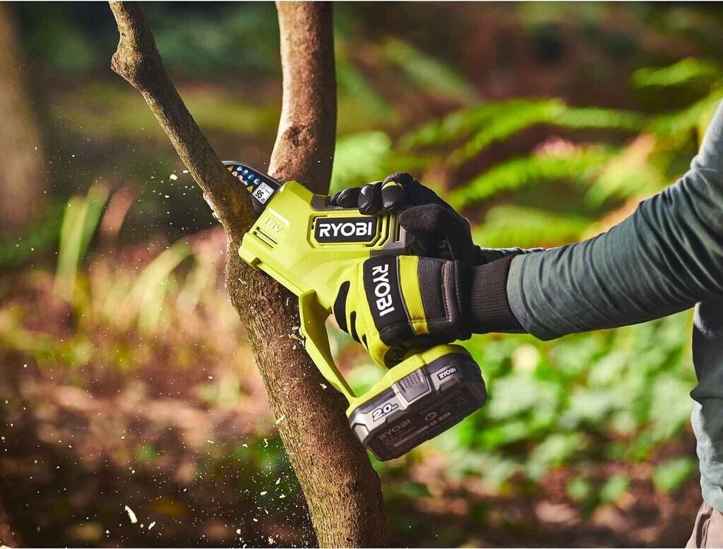 Ryobi RY18PSX10A-0 18V Solo