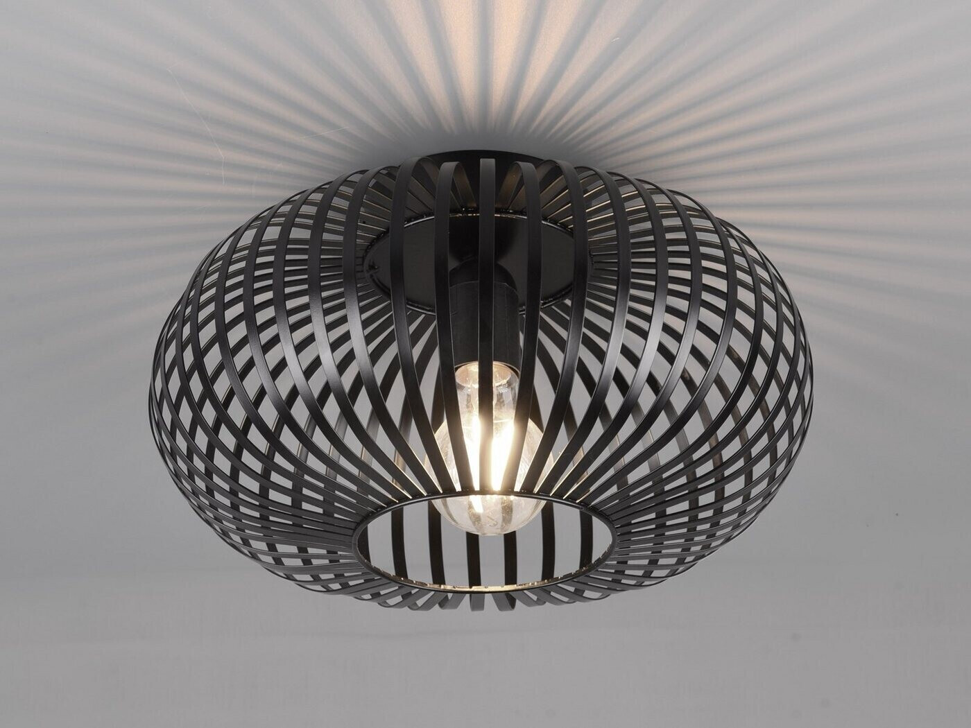 Trio LED Deckenleuchte 51,99 30cm Lampenschirm € für Preisvergleich ab Diele bei Ø Flur | Schwarz Metall Gitter und
