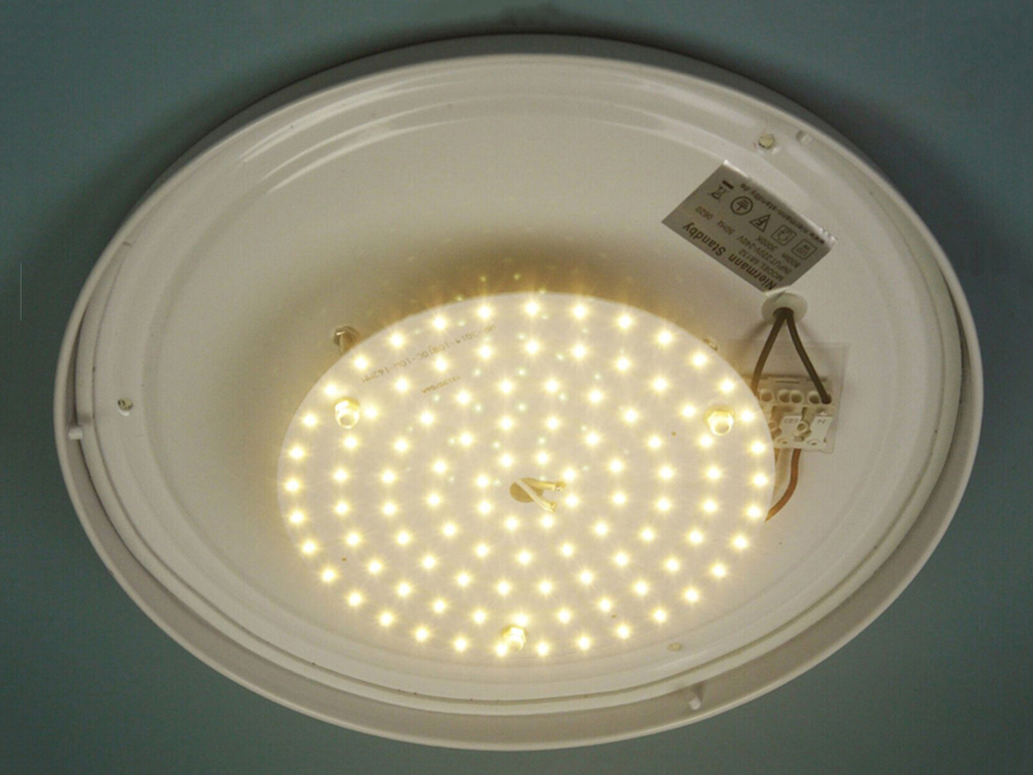 Niermann € Glaslampe OPALGLAS matt ab bei Flurlampe Dielenbeleuchtung LED 56,40 Preisvergleich Ø | 30cm Wandleuchte rund