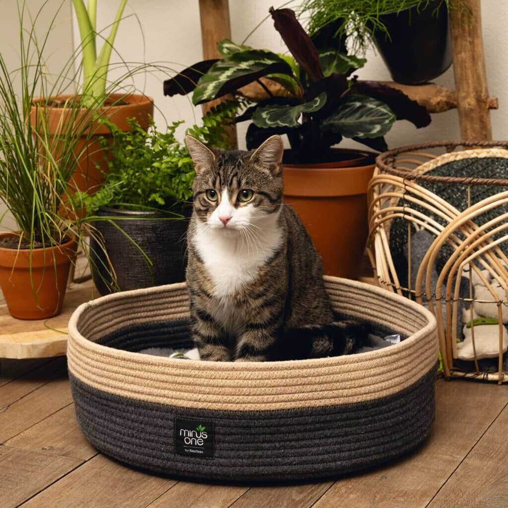 Beeztees Minus One Xana Cat Bed 45x14cm grey / brown (716153)