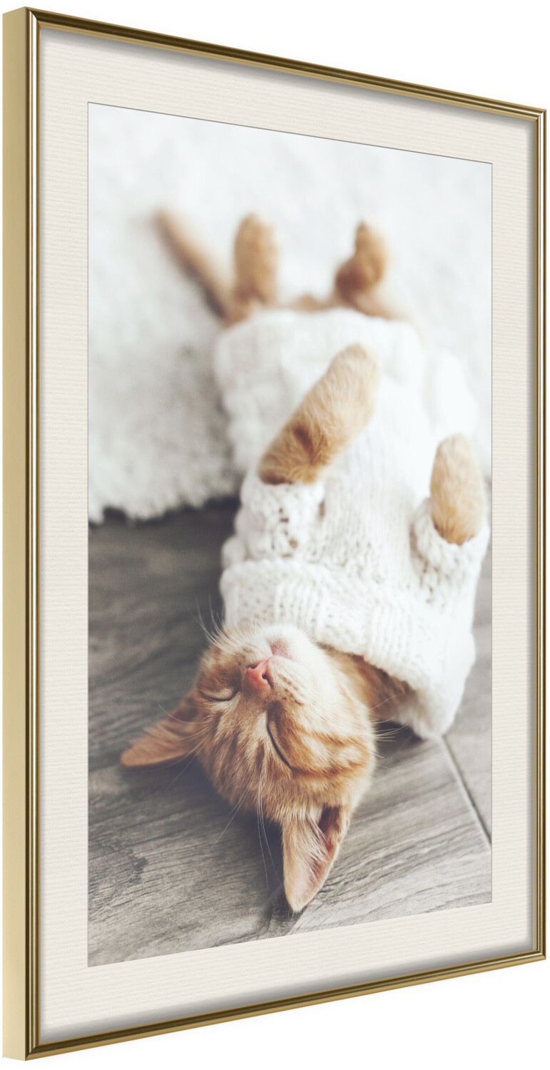 Artgeist Kitten Life 30x45cm goldener Rahmen mit Passepartout Poster