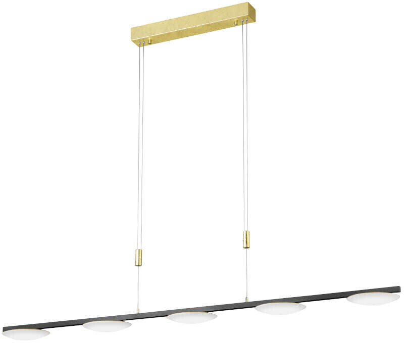 Bankamp L2078.5-51