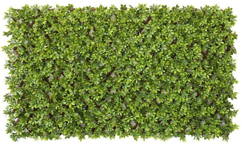 Giardini del Re MZ192033A
