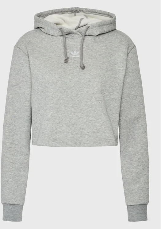Adidas Adicolor Essentials Hoodie grey (HJ7851)