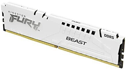 Kingston FURY Beast 32 Go DDR5-5600 CL36 (KF556C36BWE-32)