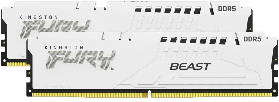 Kingston FURY Beast 32 Go Kit DDR5-5200 CL36 (KF552C36BWEK2-32)
