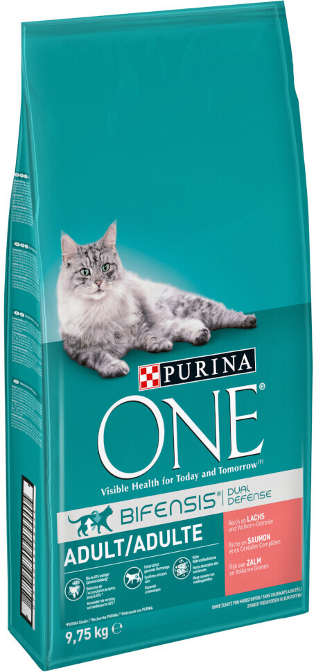 Purina ONE Bifensis cat adult salmon and wholegrain dry food 9,5kg
