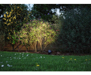 RGBW+ Gartenstrahler | 6,2W LED € Shine IP65 bei Kikolo Plug Anthrazit ab 94769 Paulmann 76,99 & Preisvergleich