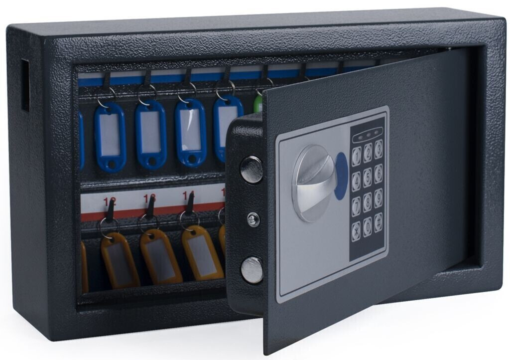 Pavo Key box high security, with 20 hooks, with combination lock, slot