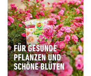 COMPO Rosen Langzeit-Dnger 2kg Schachtel ab 9.84  | Vergleiche 12  Angebote auf idealo.de