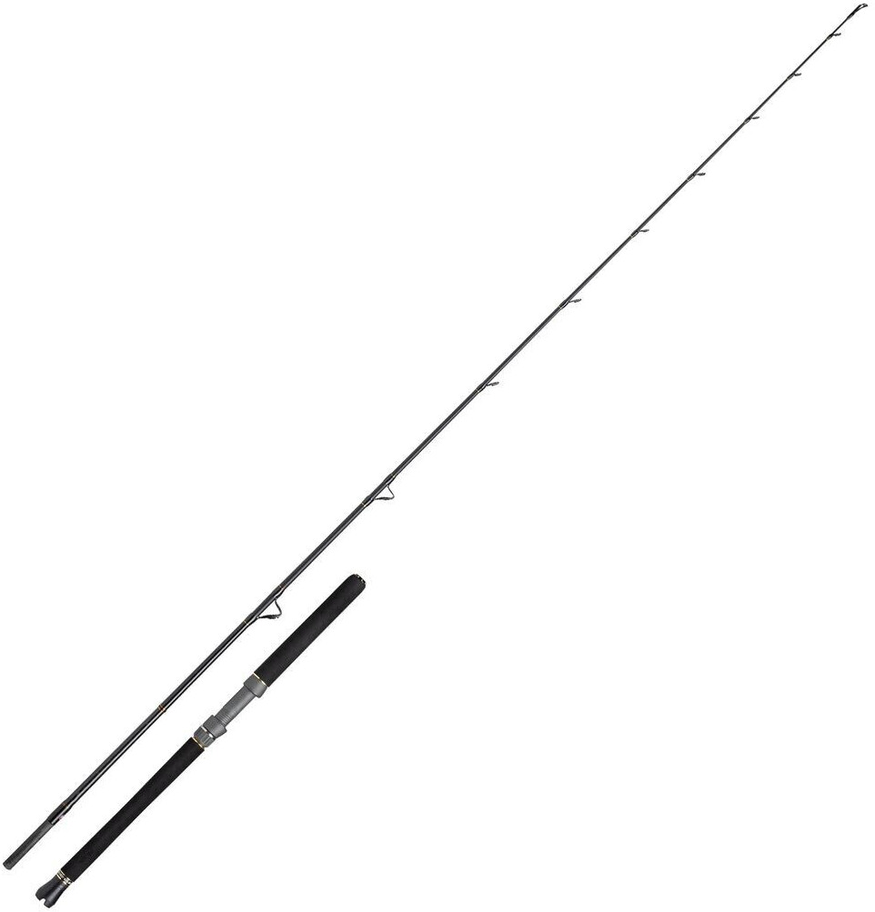Penn Regiment III Halibuster Spinning Rod 1,8m 20-30 lb