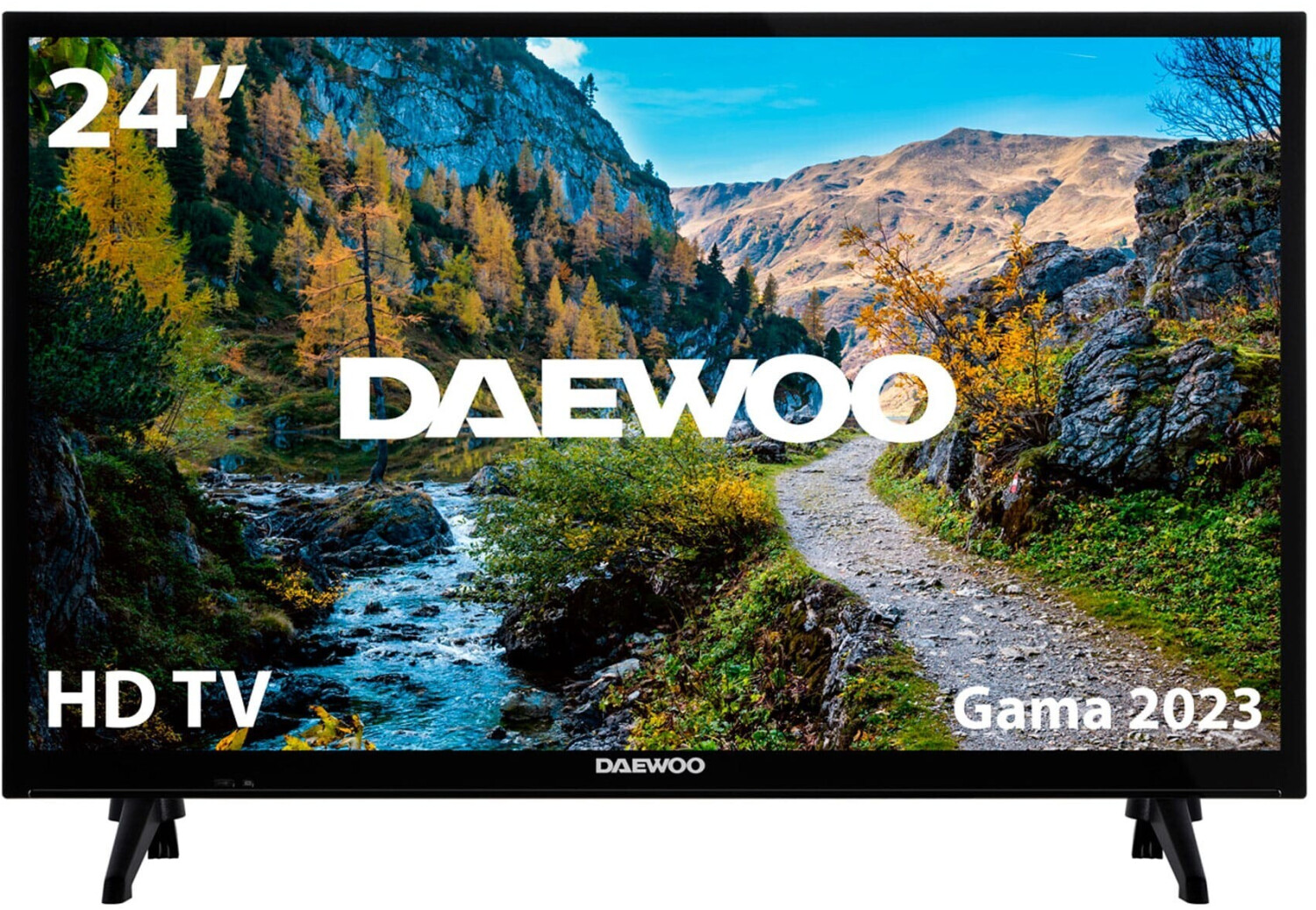Daewoo 24DE04HL1