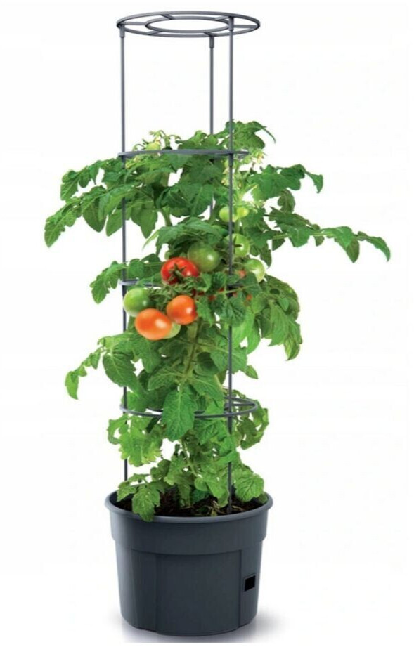 € 29,5 Prosperplast Tomatentopf (490-910) cm ab mit bei Rankhilfe Preisvergleich 9,99 |