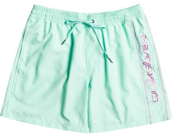 Quiksilver Vert 16 M Jamv (EQYJV03987-GCZ0) beach glass