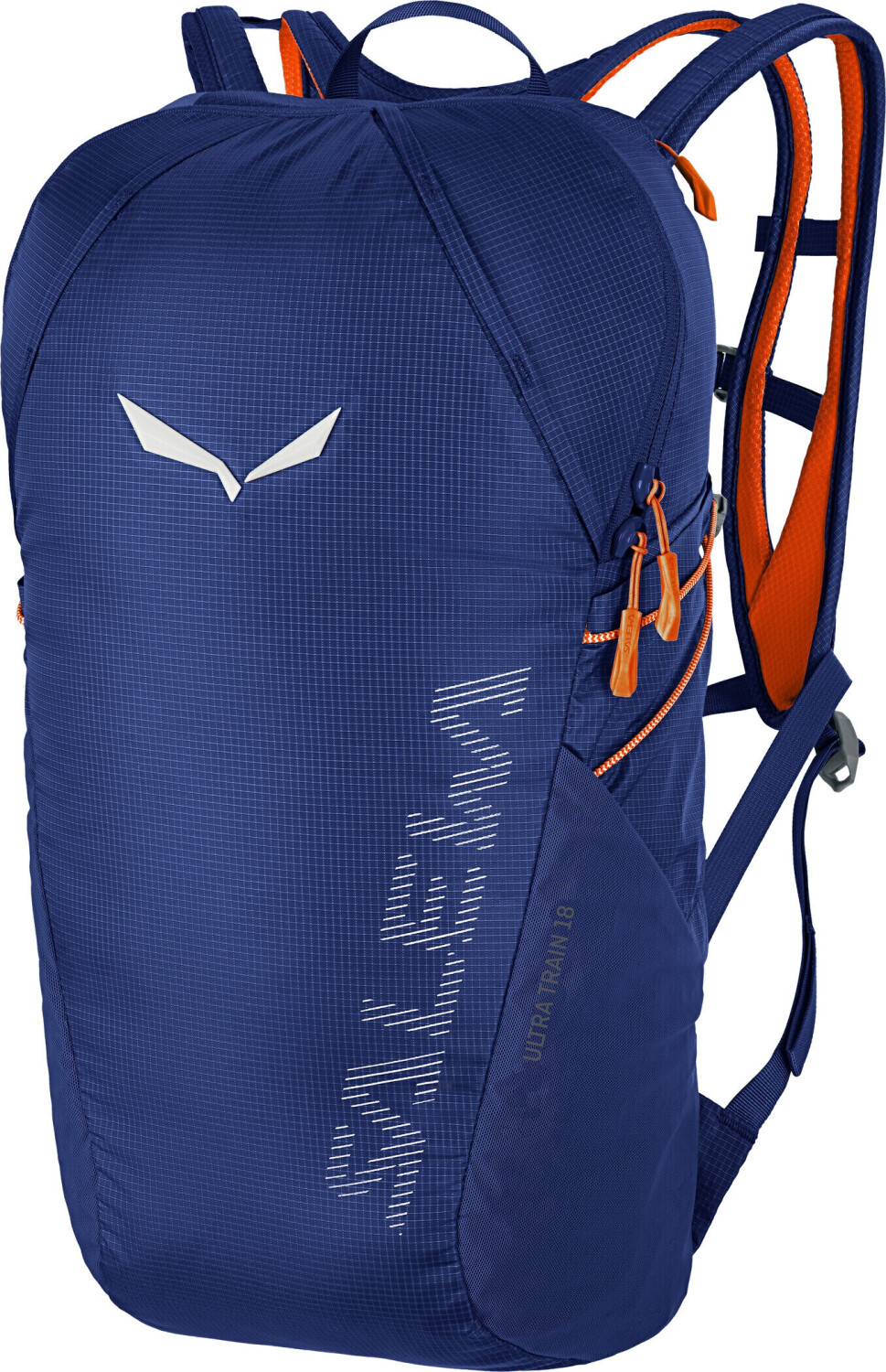 Salewa Ultra Train 18 electric ab 78 99 Preisvergleich bei