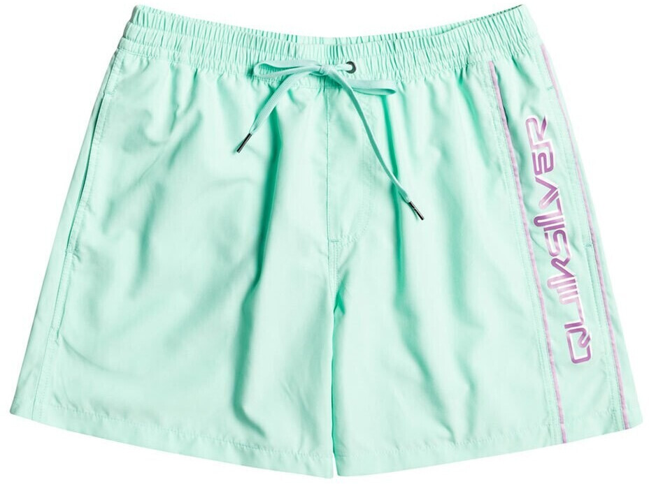 Quiksilver Everyday Vert Volley 16 Swimming Shorts green (EQYJV03987-GCZ0)