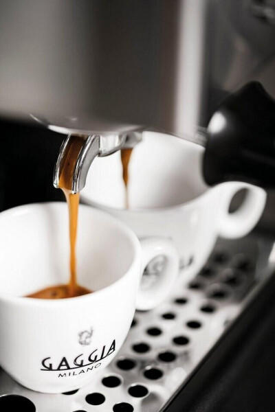 Gaggia Classic Evo Edelstahl, Bild 5