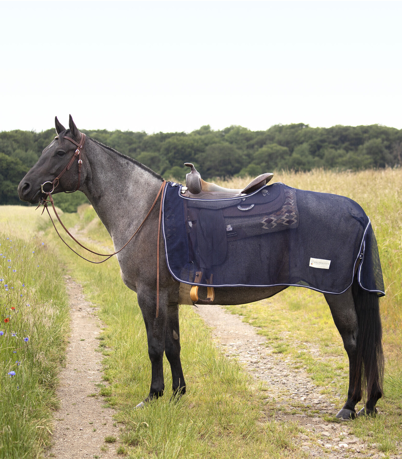 Waldhausen Comfort Western (63308)