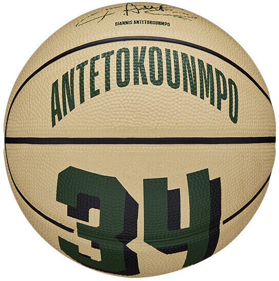 Wilson Nba Player Icon Mini Bskt Giannis Gre NBA grün 3