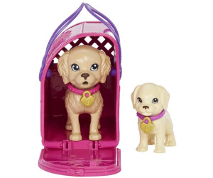 Barbie Doll and Accessories Pup Adoption Playset with Brunette Doll in  Purple, 2 Puppies, Color-Change Animal and Pee Pad, Working Carrier and 10