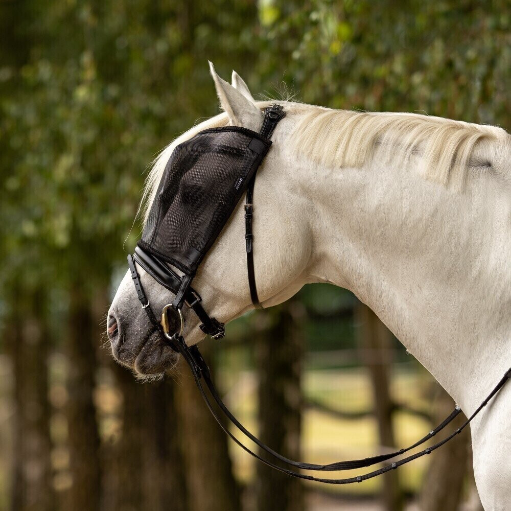 Busse Riding (633053)