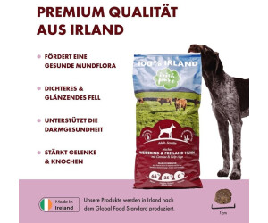 hunderampen frs auto Hunderampe frs Auto  rutschfeste Gummi-Hunderampen fr groe Hunde   PriorPet