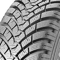Falken EUROWINTER HS01 225/45 R19 96V XL