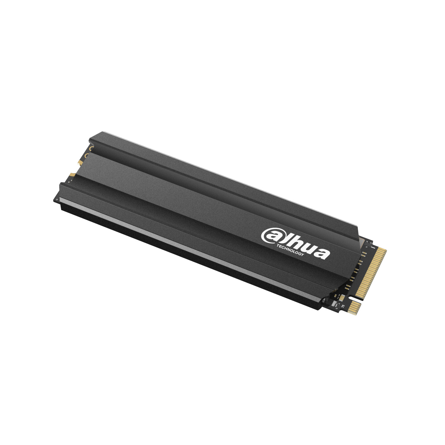 Dahua E900 256 Go