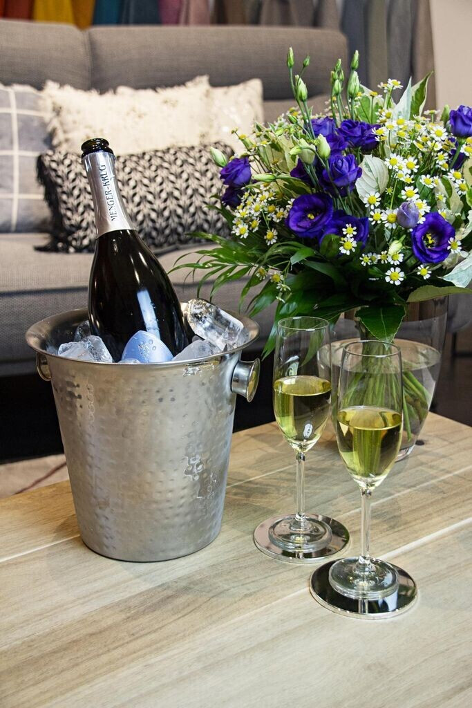 EDZARD Sektkühler Joey (Ø 21 cm) aus Edelstahl - Flaschenkühler, Weinkühler - Getränkekühler für 1 Flasche - Schale für Wein, Sekt & Eiswürfel - Champagner Kühler gehämmert mit Griff