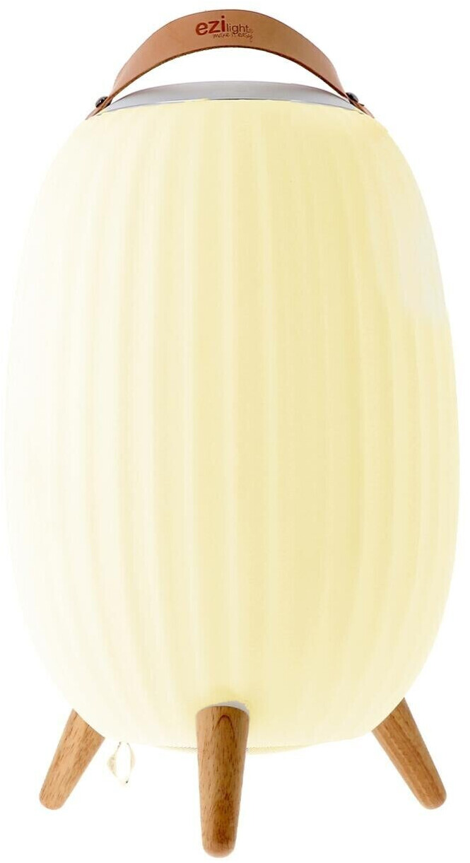 Ezilight Ambiant XL x1
