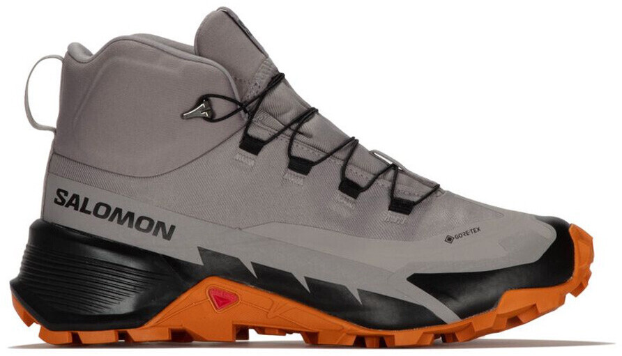 Salomon Cross Hike 2 Mid GTX gull grey ab 109,90 €