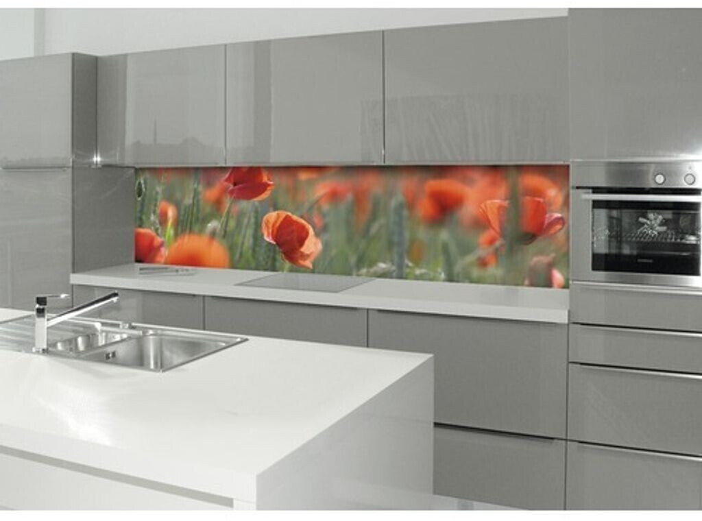 SKM Küchenrückwand Hellgrau 110x60cm - Hitzebeständiges Hartglas Für Moderne Küchen