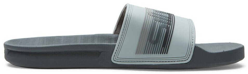 Quiksilver Rivi Wordmark (AQYL101221) grey