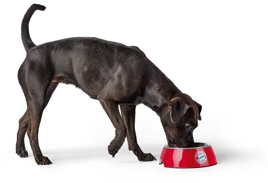 HUNTER Gamelle pour chien 69237