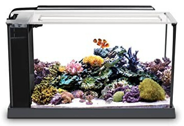 Saltwater tank kit store