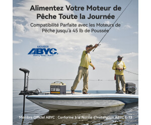 Power Queen 12V 50Ah LiFePO4 Batterie – 15000 Zyklen, Integriertes 50A BMS, Leicht, Für Solar, Wohnmobil & Off-Grid