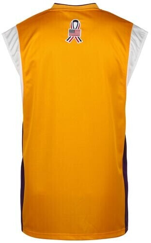 Mitchell & Ness NBA Los Angeles Lakers Finals Authentic ...