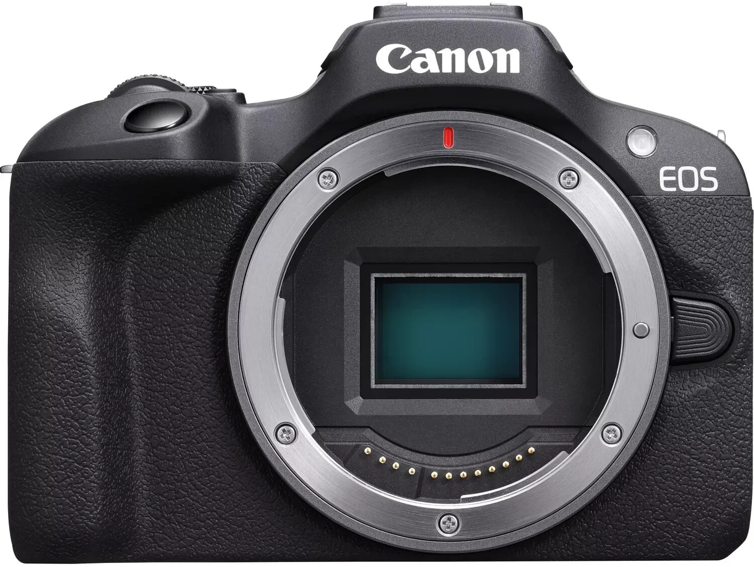 Canon EOS R100 499,00 Preise) bei ab (Februar Preisvergleich 2024 € 