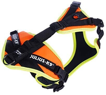 Julius K-9 19MTR-FOR-S